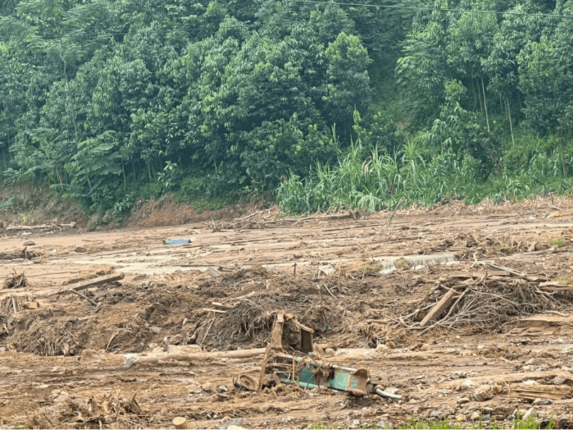 Picture1 - Mua trực tiếp Bão Yagi từ nhà máy - Thương hiệu toàn cầu, sản phẩm tốt nhất, danh mục lớn nhất Việt Nam, giá và chất lượng hàng đầu, dịch vụ uy tín đoạt giải Best Performance.